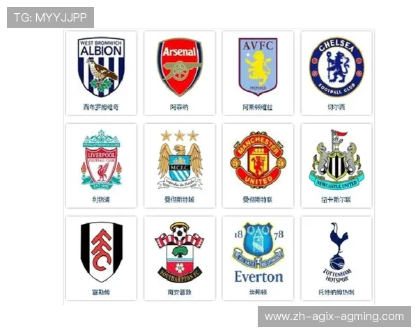 从英超跌至英乙的球队名单及降级原因探讨